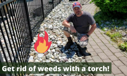 Get rid of weeds the fun and easy way – with a propane torch!