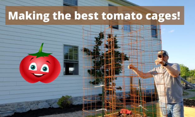 Making the best tomato cages