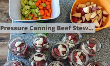 Pressure canning beef stew in a Presto pressure canner