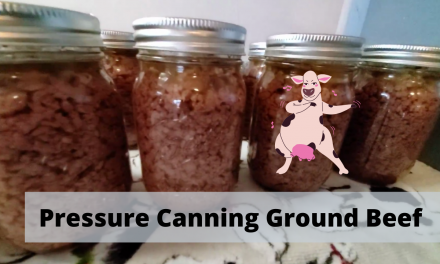 Pressure Canning Ground Beef – Stop using your freezer for beef!