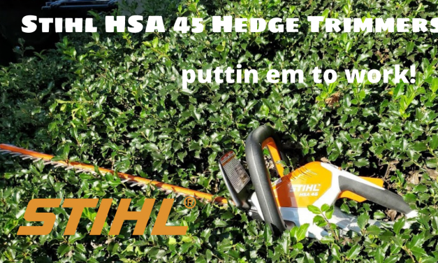 Stihl Hedge Trimmers HSA 45 Review