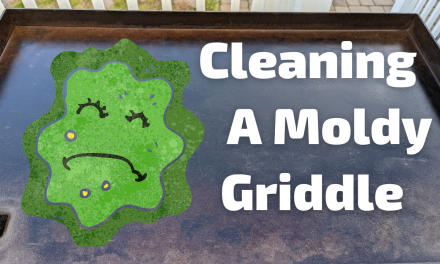 Cleaning A Moldy Griddle