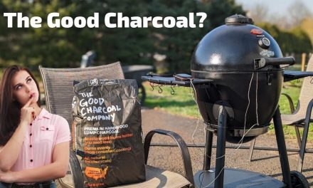 Quick Review: The Good Charcoal Company First Impressions